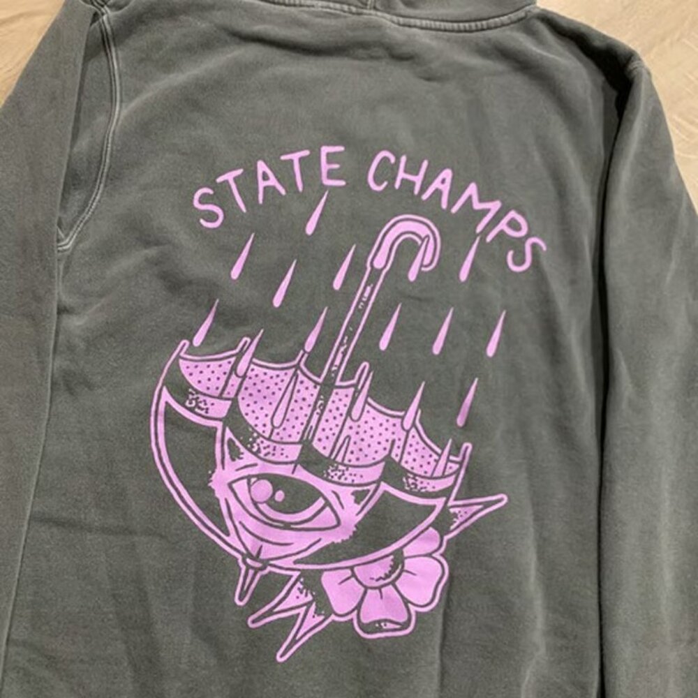 State Champs Pop Punk Band Umbrella Sweatshirt Hoodie Gray Men's Small S Purple - Picture 5 of 5